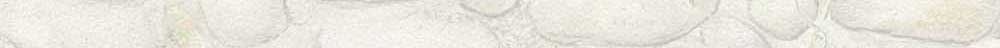 Бересклет Форчуна (Euonymus fortunei) – неприхотливый кустарник