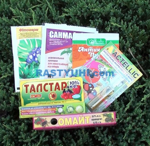 Борьба с паутинным клещом Акарициды