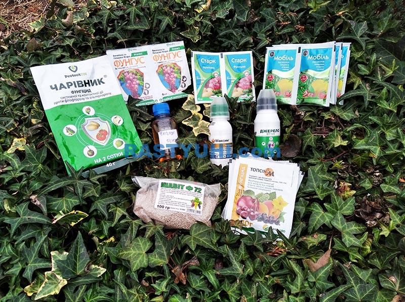 Препараты для лечения сада: мой список Фунгициды для сада