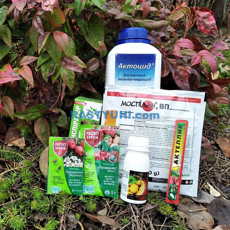 Защита сада от вредителей: мой выбор препаратов Видео инсектициды для сада